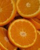 Orange Sweet 甜橙