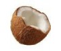 Coconut Oil Virgin Organic - Cocos nucifera
