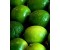 Lime - Citrus aurantifolia