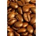 Coffee Bean CO2 - Coffea arabica