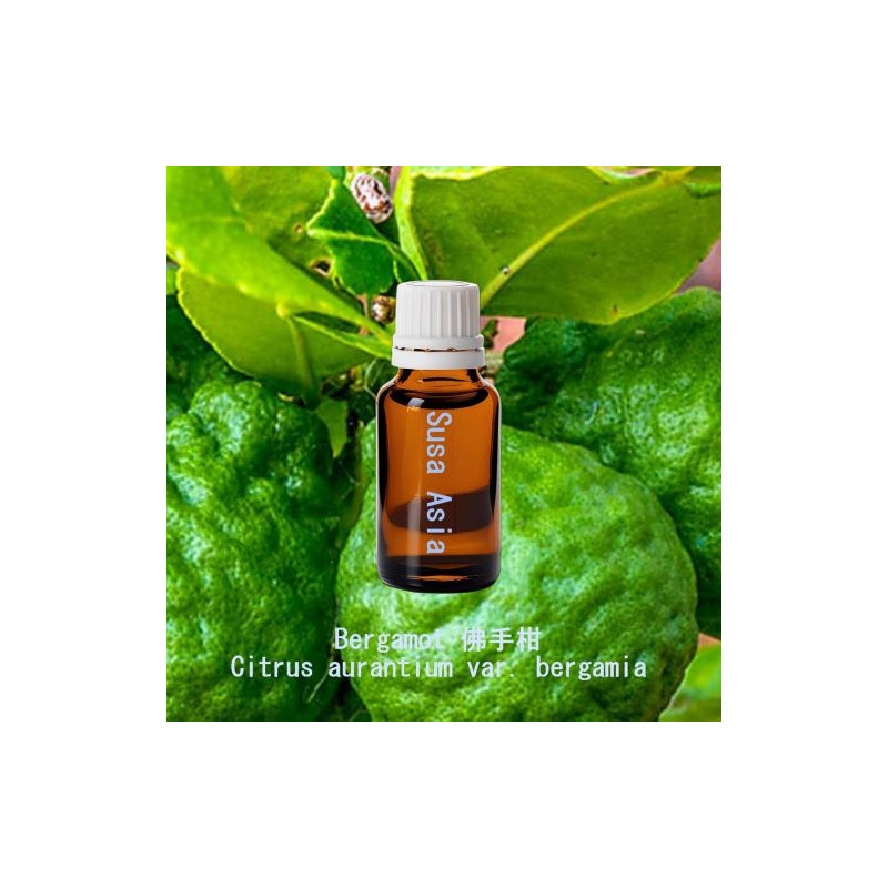 Bergamot - Citrus bergamia
