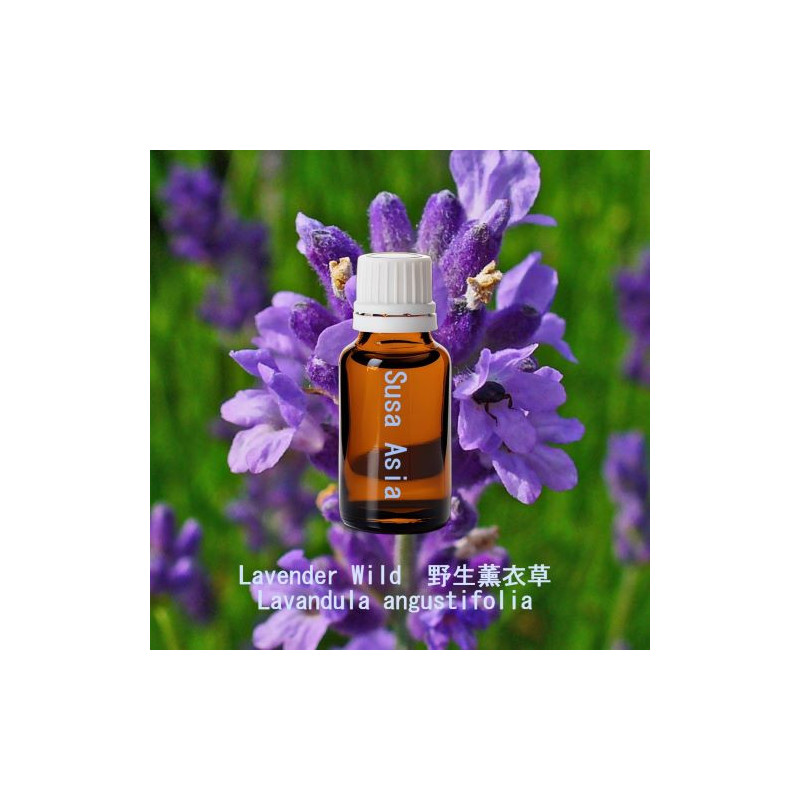 單方精油 Lavender Wild  野生薰衣草