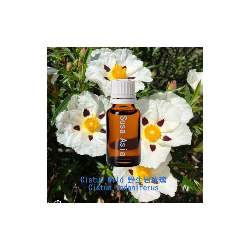 單方精油 Cistus Wild 野生岩玫瑰