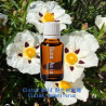 單方精油 Cistus Wild 野生岩玫瑰