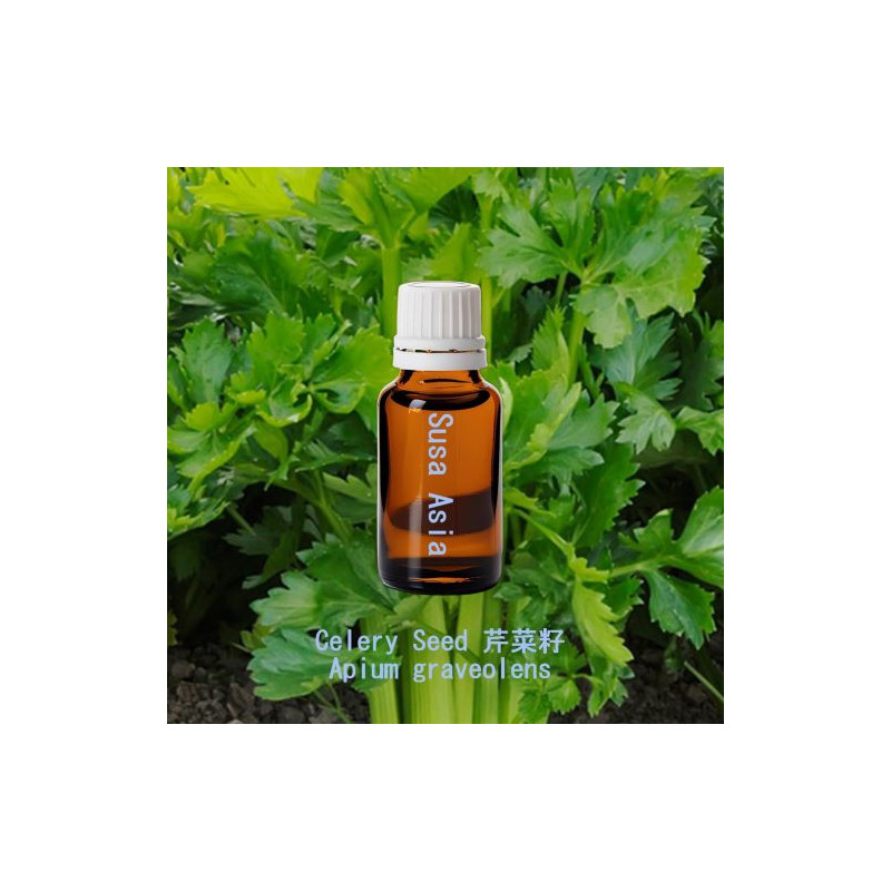 Celery Seed - Apium graveolens