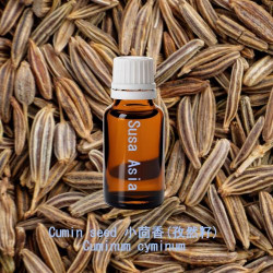 Cumin seed - Cuminum cyminum
