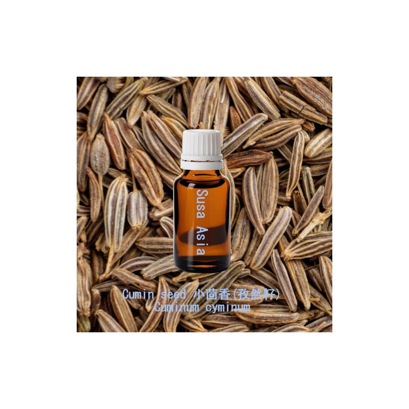 Cumin seed - Cuminum cyminum