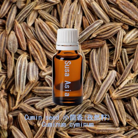 Cumin seed - Cuminum cyminum