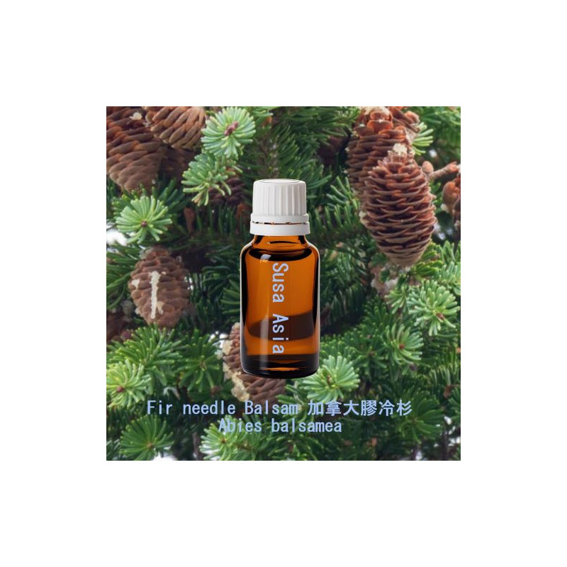 單方精油 Fir needle Balsam 加拿大膠冷杉