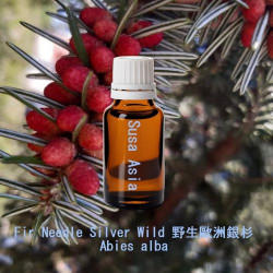Fir Needle Silver Wild - Abies alba
