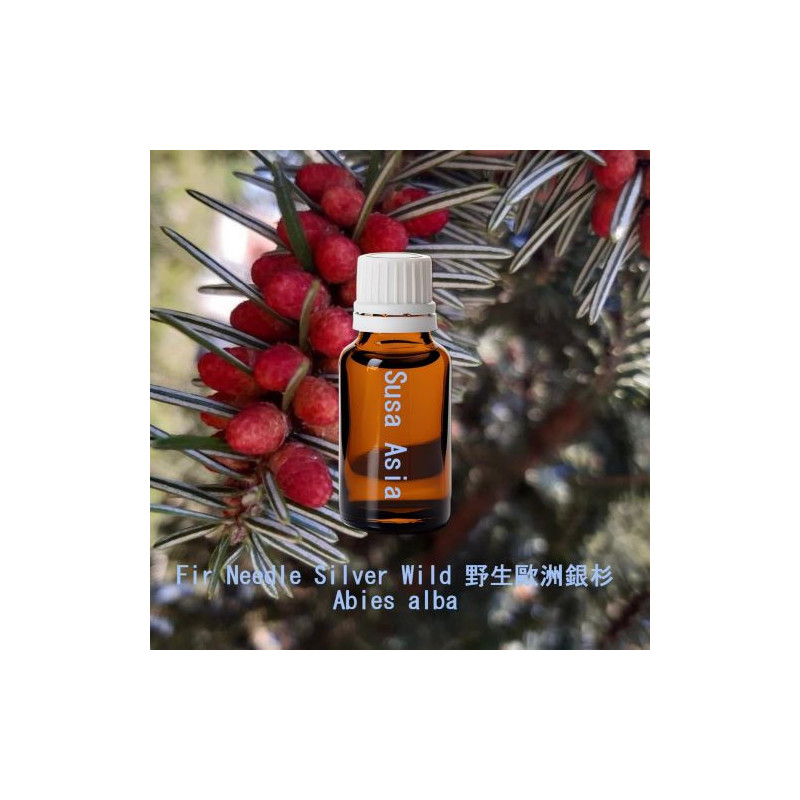 單方精油 Fir Needle Silver Wild 野生歐洲銀杉