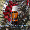 單方精油 Fir Needle Silver Wild 野生歐洲銀杉