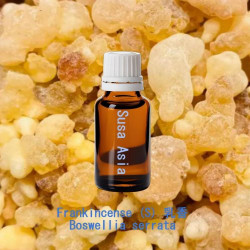單方精油 Frankincense 乳香