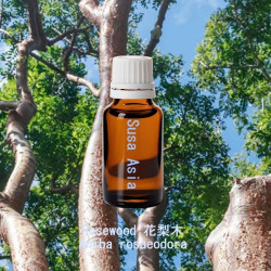 單方精油 Rosewood 花梨木