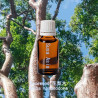 單方精油 Rosewood 花梨木