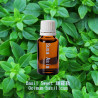 單方精油 Basil Sweet 甜羅勒