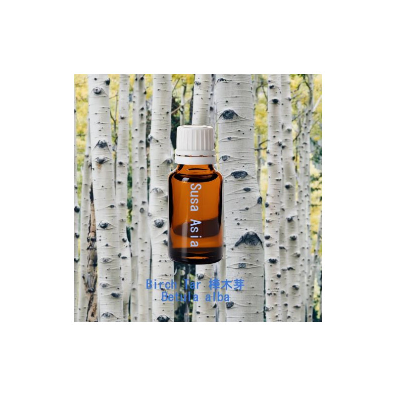 單方精油 Birch Tar 樺木芽