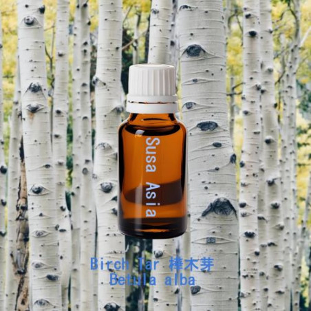 單方精油 Birch Tar 樺木芽