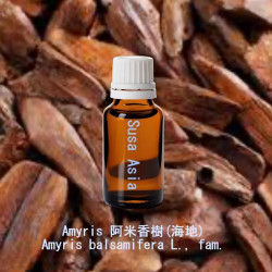 Amyris Haiti - Amyris balsamifera L., fam.