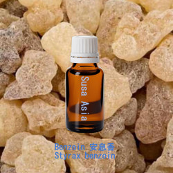 Benzoin - Styrax benzoin