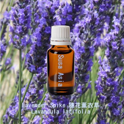 單方精油 Lavender Spike 穗花薰衣草