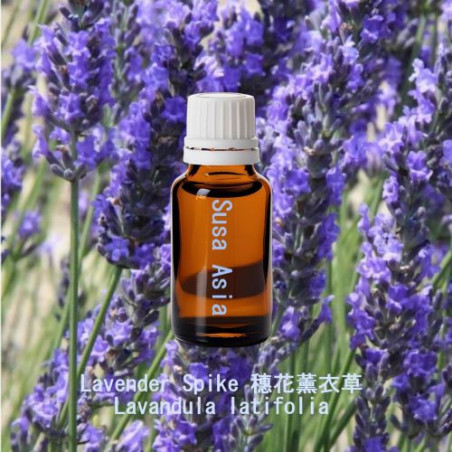 單方精油 Lavender Spike 穗花薰衣草