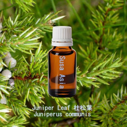 單方精油 Juniper Leaf 杜松葉