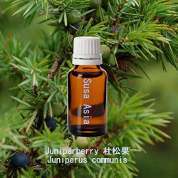 單方精油 Juniperberry 杜松果