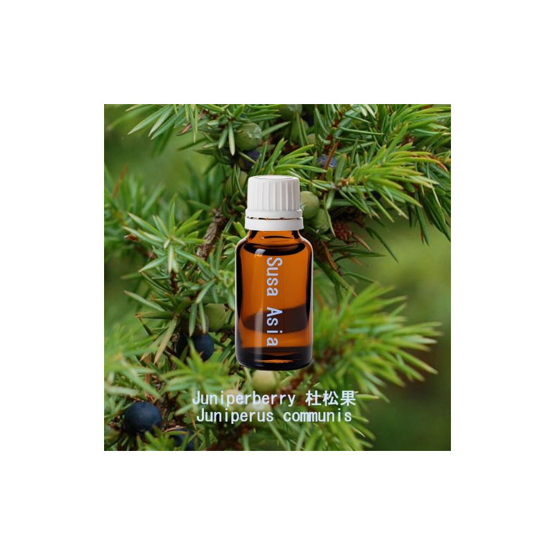 Juniperberry - Juniperus communis