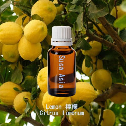 單方精油 Lemon 檸檬