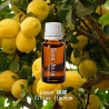 單方精油 Lemon 檸檬