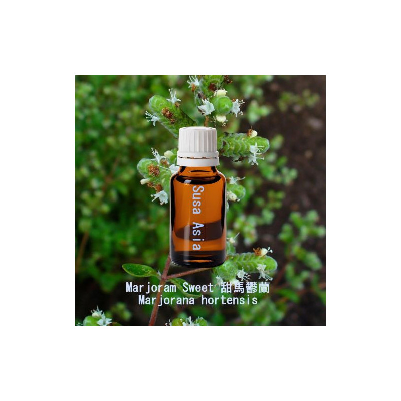 單方精油 Marjoram Sweet 甜馬鬱蘭