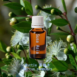 單方精油 Myrtle 香桃木