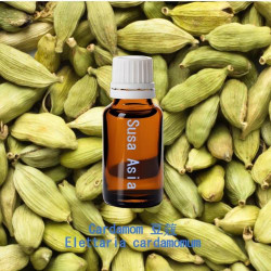 Cardamom - Elettaria cardamomum