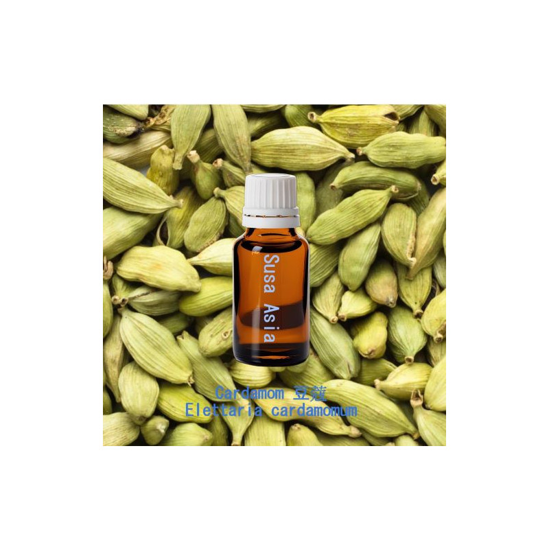 Cardamom - Elettaria cardamomum