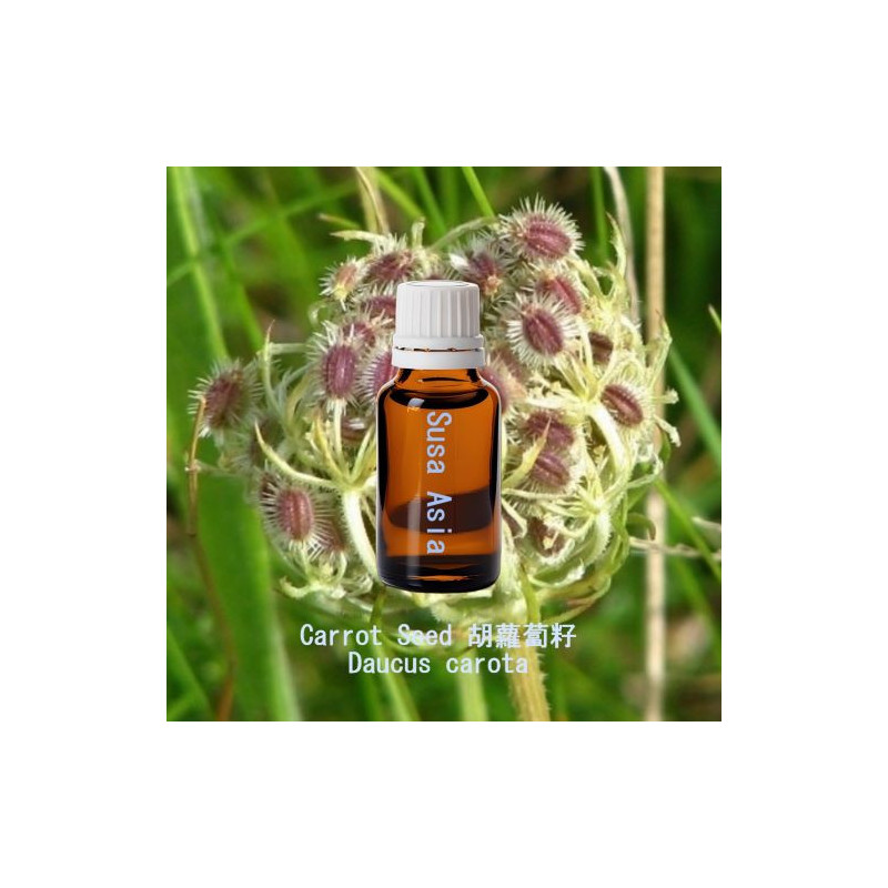 單方精油 Carrot Seed 胡蘿蔔籽