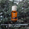 Cedarwood Atlas Wild - Cedrus atlantica