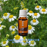 單方精油 Chamomile German 德國洋甘菊