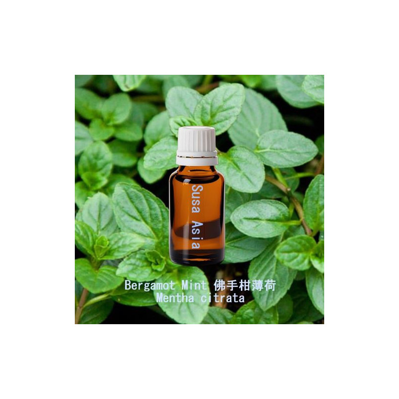 單方精油 Bergamot Mint 佛手柑薄荷