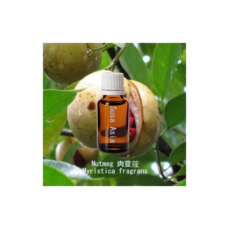單方精油 Nutmeg 肉荳蔻