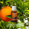 單方精油 Orange Bitter 苦橙
