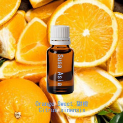 Orange Sweet - Citrus sinensis
