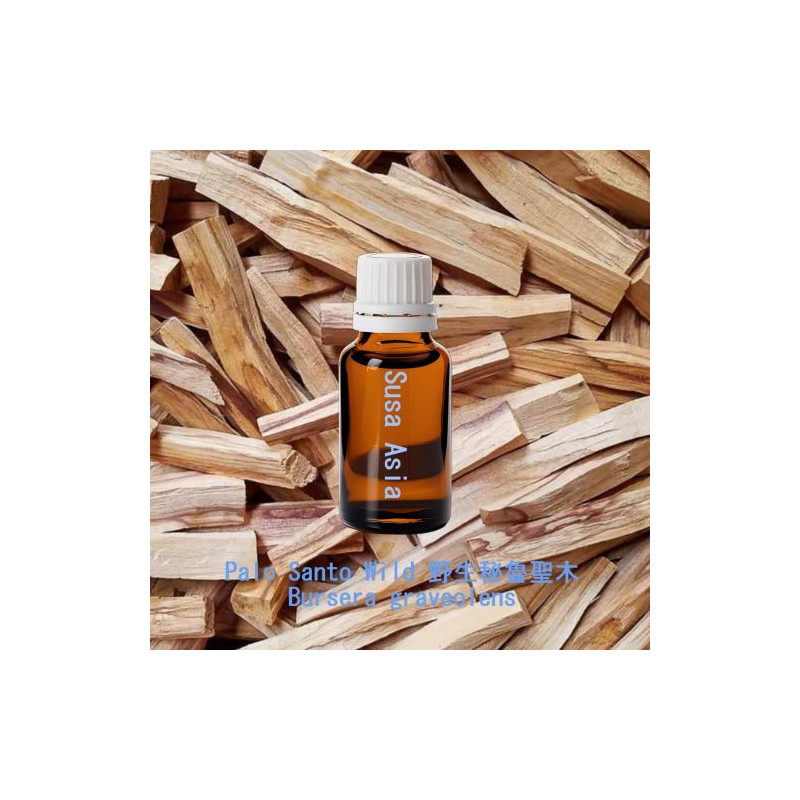 Palo Santo Wild - Bursera graveolens