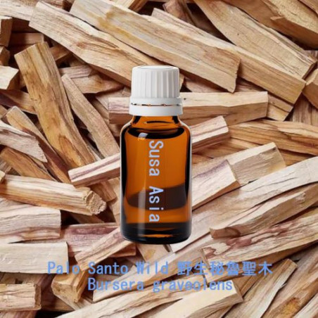 Palo Santo Wild - Bursera graveolens