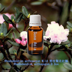 Rhododendron anthopogon Wild - Rhododendron anthopogon.D Don