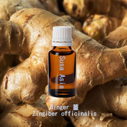 單方精油 Ginger 薑