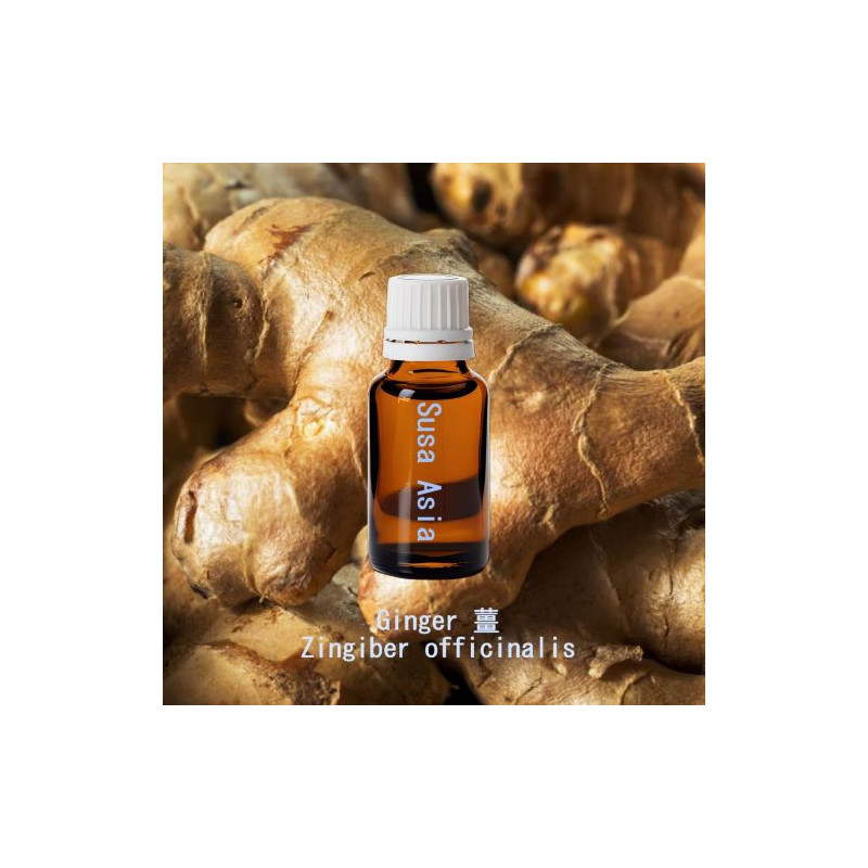 單方精油 Ginger 薑