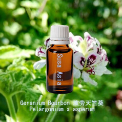 單方精油 Geranium Bourbon 波旁天竺葵