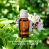 單方精油 Geranium Bourbon 波旁天竺葵