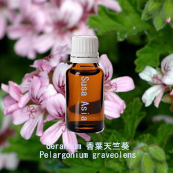 單方精油 Geranium 香葉天竺葵